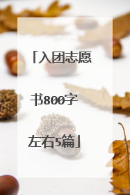 入团志愿书800字左右5篇