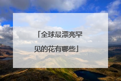 全球最漂亮罕见的花有哪些