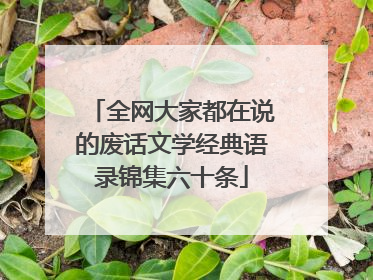 全网大家都在说的废话文学经典语录锦集六十条