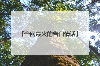全网最火的告白情话
