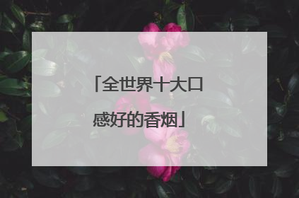 全世界十大口感好的香烟