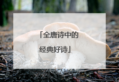 全唐诗中的经典好诗