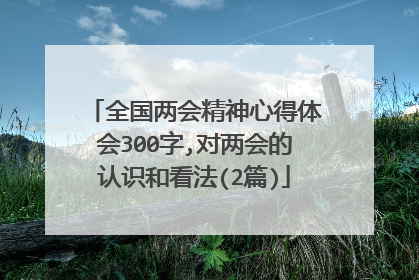 全国两会精神心得体会300字,对两会的认识和看法(2篇)