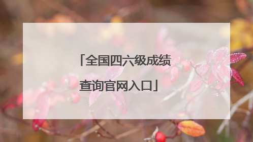 全国四六级成绩查询官网入口