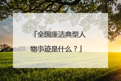 全国廉洁典型人物事迹是什么？