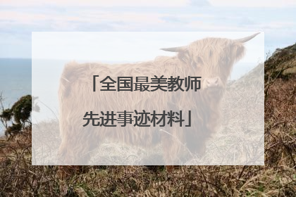 全国最美教师先进事迹材料