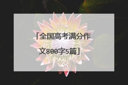 全国高考满分作文800字5篇