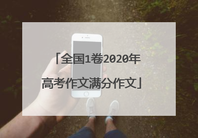 全国1卷2020年高考作文满分作文