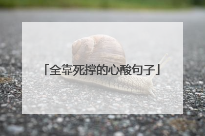 全靠死撑的心酸句子