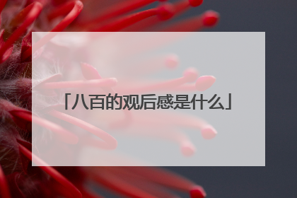 八百的观后感是什么