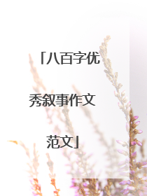 八百字优秀叙事作文范文
