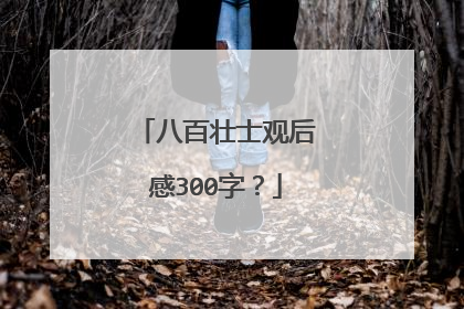 八百壮士观后感300字？