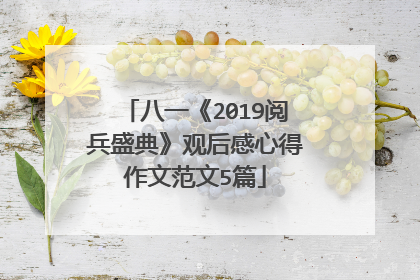 八一《2019阅兵盛典》观后感心得作文范文5篇