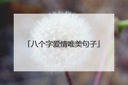 八个字爱情唯美句子