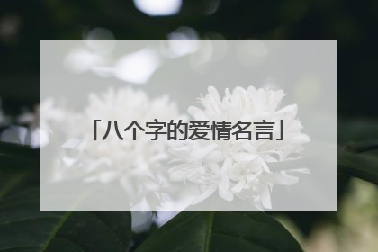 八个字的爱情名言