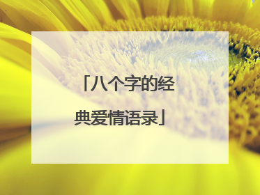 八个字的经典爱情语录