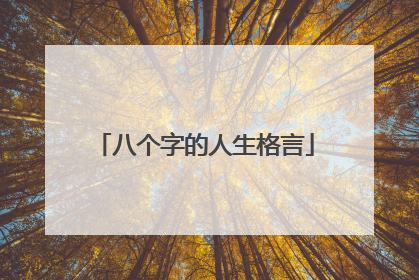 八个字的人生格言