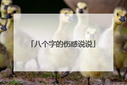 八个字的伤感说说