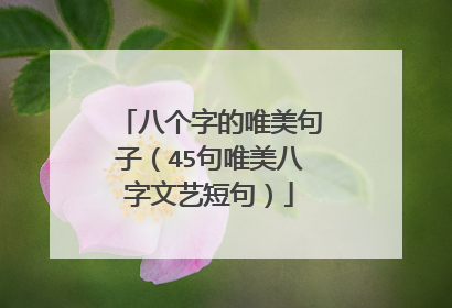八个字的唯美句子(45句唯美八字文艺短句)