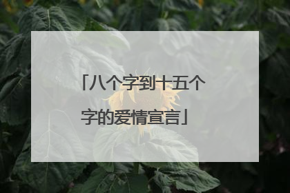 八个字到十五个字的爱情宣言