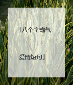 八个字霸气爱情短句