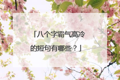 八个字霸气高冷的短句有哪些?