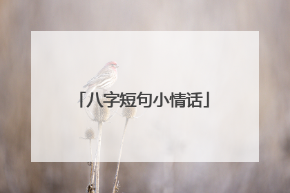 八字短句小情话