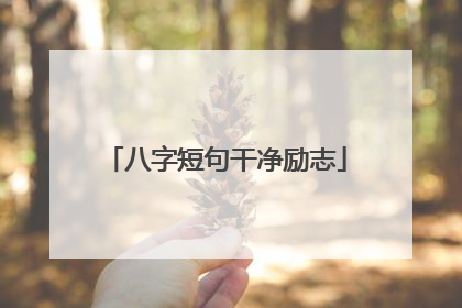 八字短句干净励志