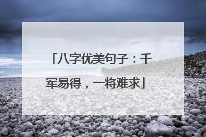 八字优美句子:千军易得,一将难求