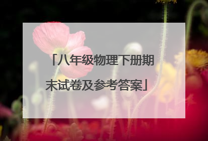 八年级物理下册期末试卷及参考答案