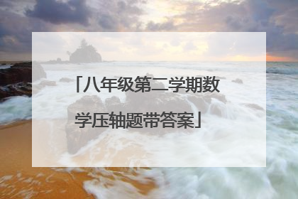 八年级第二学期数学压轴题带答案