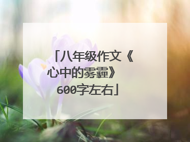 八年级作文《心中的雾霾》 600字左右
