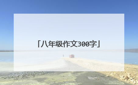 八年级作文300字