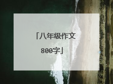 八年级作文800字