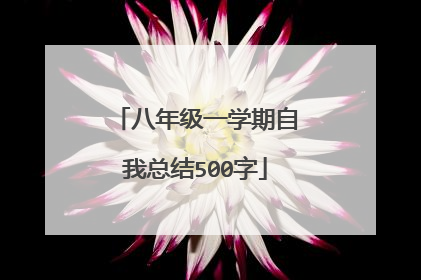 八年级一学期自我总结500字