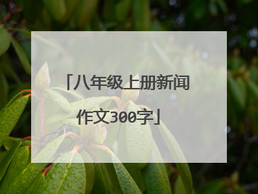 八年级上册新闻作文300字