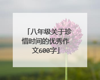 八年级关于珍惜时间的优秀作文600字