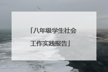 八年级学生社会工作实践报告