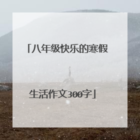 八年级快乐的寒假生活作文300字