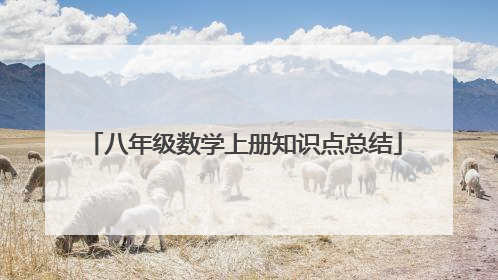 八年级数学上册知识点总结