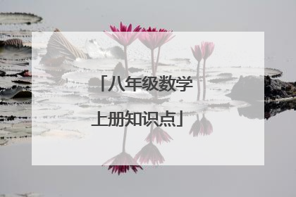 八年级数学上册知识点