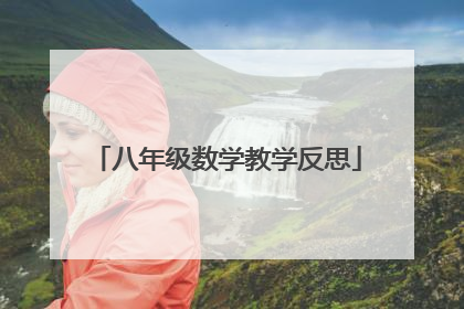 八年级数学教学反思