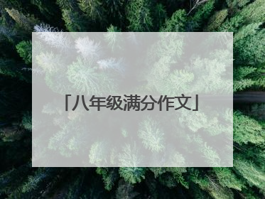 八年级满分作文
