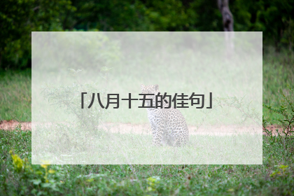 八月十五的佳句