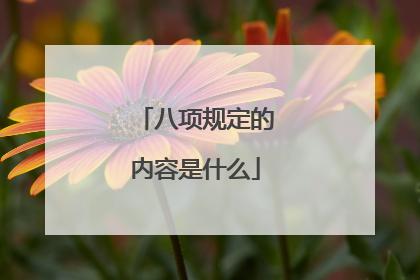 八项规定的内容是什么