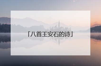 八首王安石的诗