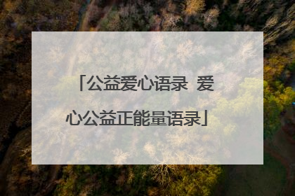 公益爱心语录 爱心公益正能量语录