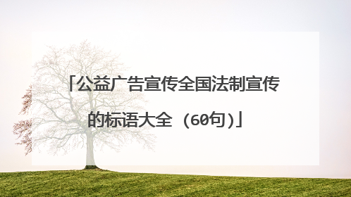 公益广告宣传全国法制宣传的标语大全 (60句)