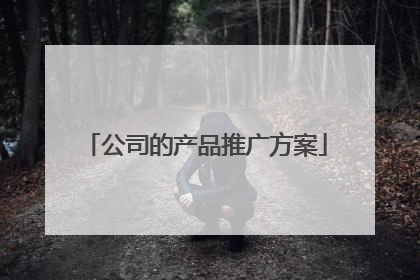 公司的产品推广方案