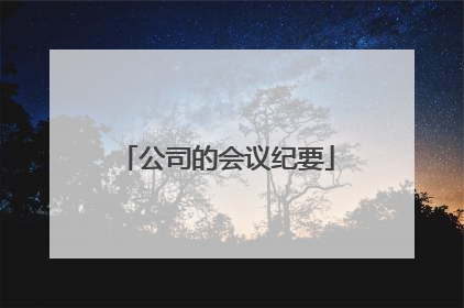 公司的会议纪要